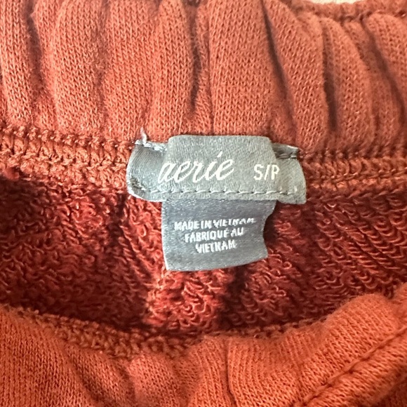 Burnt  Orange Aerie Joggers - Picture 3 of 4